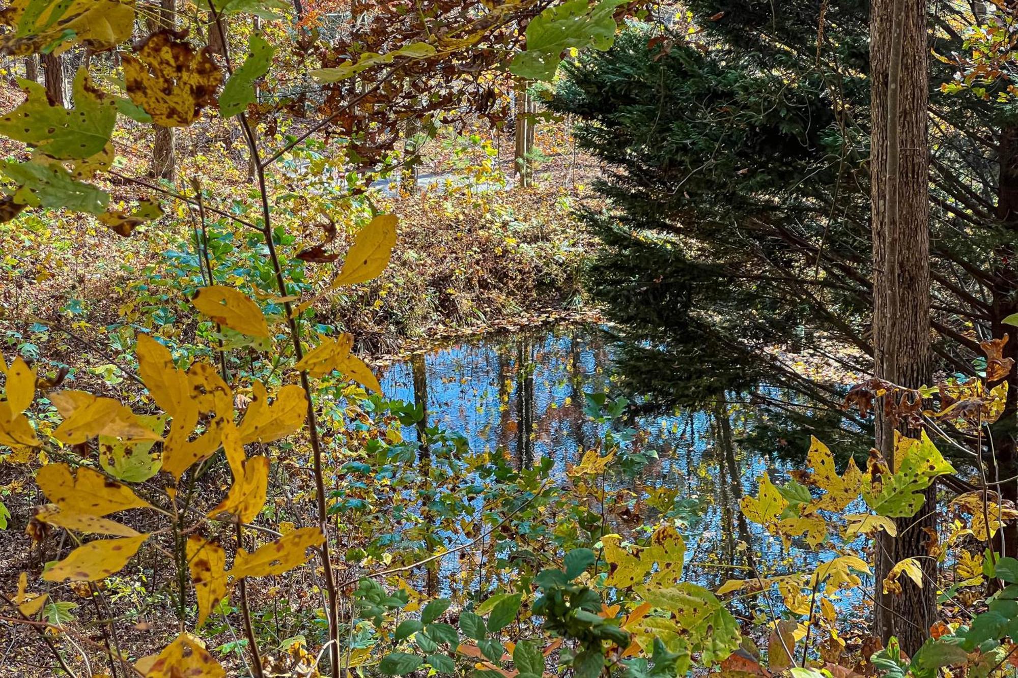 Best Kept Secret Blue Ridge Exteriér fotografie
